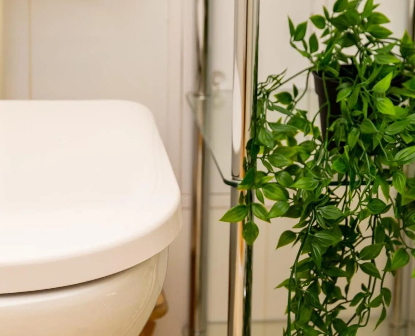 City Apartment Top Location, Quiet And Cozy Ideal To Relax Or Work ウィーン