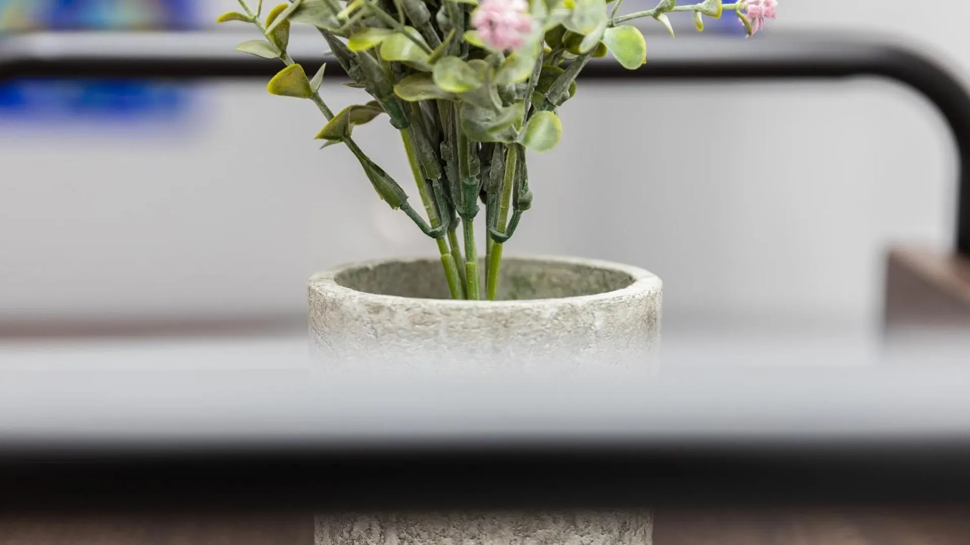 City Apartment Top Location, Quiet And Cozy Ideal To Relax Or Work ウィーン